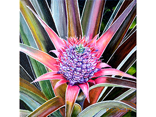 Pretty Pink Pineapple by Pati O'Neal