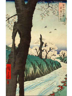 36 Views of Mt. Fuji-Musashi Korei by Hiroshige Utagawa