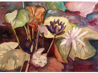 Lily Pond by Anne Irons
