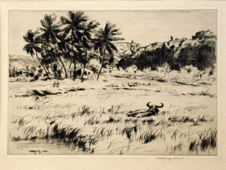 Water Buffalo - Waimea by Huc Luquiens (1881-1961)