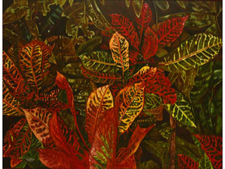 Crotons by Madeleine McKay