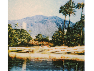 Ala Wai Canoe Reflections by Marcia Duff