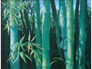 Bamboo Forest by Carol Collette