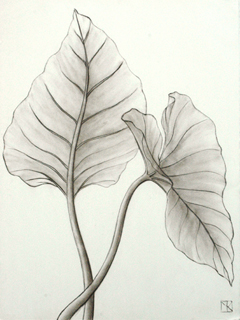 Two Leaves by Mari Kuramochi
