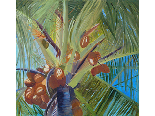 Coconuts by Dawn Lundquist
