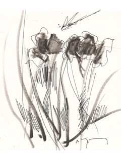 Untitled:  Two Flowers by John Young (1909-1997)