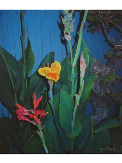 Hawaiian Flower Garden by Lawrence Muttick