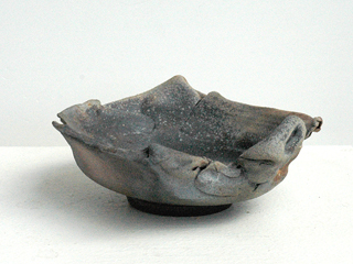 Organic Bowl by Paul Nash