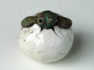 Hatchling Rattle 1 by Rochelle Lum (View 3)
