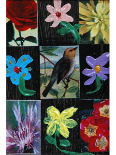 Nature by Sherry Enoki