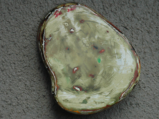Mini Shell (B) by Tsugumi (View 2)