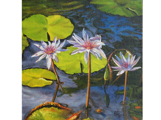 Water lily Trio by Pati O'Neal