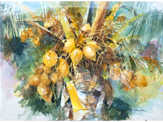 Coconut Tree by Tom Tomita