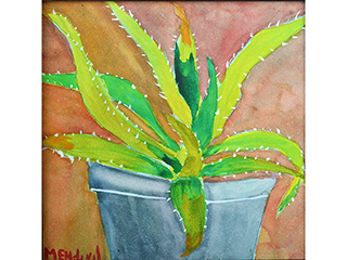 Cactus Plant by Anthony  Mendivil