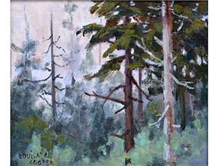 Tofino Pines in Fog by Louisa S. Cooper