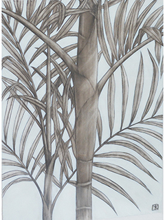 Light Through Palm Tree by Mari Kuramochi