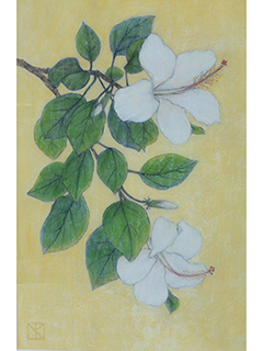Two Hibiscus by Mari Kuramochi