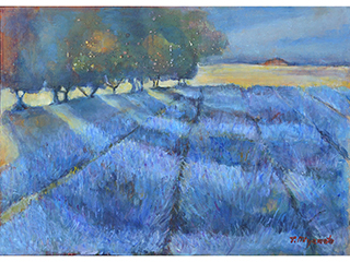 Lavender Field by Tetyana Miyamoto