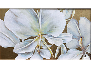 Floral Sketches - White Ginger by Sandra Blazel
