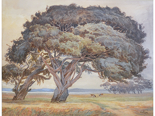Pasture with Keawe Trees by Otto Wix (1866 - 1922)