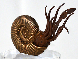 Ammonite Creature by Gordon Uyehara