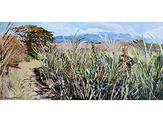 Untitled (Ewa Canefield) by Richard  Priest