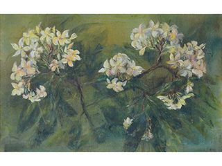 Plumeria by Betty Hay Freeland (1941-2023)
