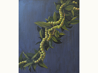 Maile & Mokihana by Sandra Blazel