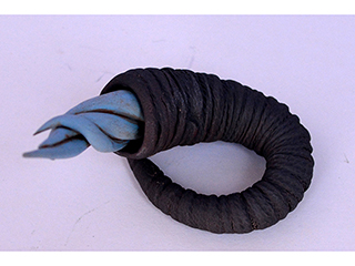 Shell Series #2 by Christopher Edwards