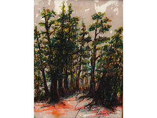 Forest by Rebecca Horne