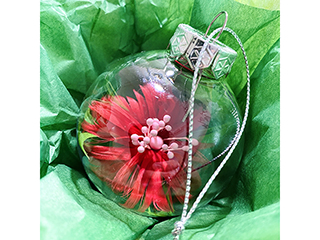 Wish Ornament Red by Boris Huang