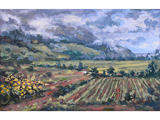 North Shore Fields by David Luchak