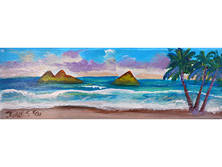 Made on the Zoo Fence: Lanikai by J Genus