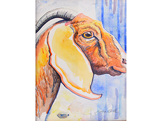 The Goat by Jessica Orfe