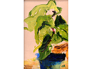 What are those Leaves? by Carin Rapson