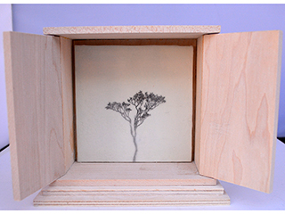 Prayers: 'ohi'a lehua by Hiroko Sakurai
