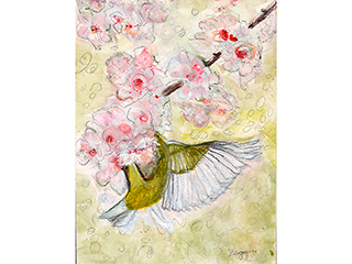 Study of Japanese White Eye by Natalie Zagami