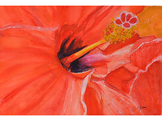 Hot Hibiscus by Natalie Zagami
