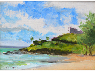 Hilltop House, Kailua Beach by Suzanne  Barnes
