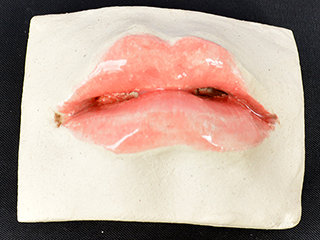 Bouche 2 by Lynn Weiler Liverton