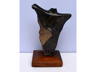 Figure by Jerry Vasconcellos