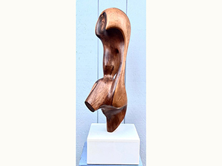 Elemental by Jerry Vasconcellos (View 2)