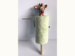 Frozen Friends-Giraffe by Lisa Shiroma