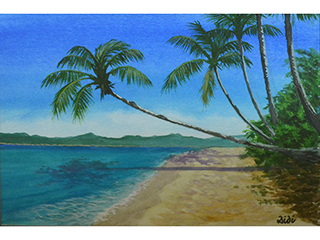 Paradise Cove by , Didi