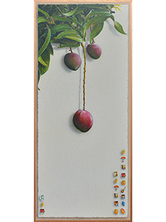 Mangos by Doug Young