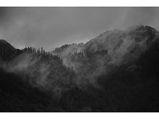 Ko'olau Series #400 2022 by Wayne  Levin