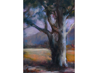 Hoomaluhia Tree by Anna J. Farawell-Goo