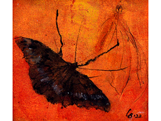 Looking for Light I by Liedeke Bulder