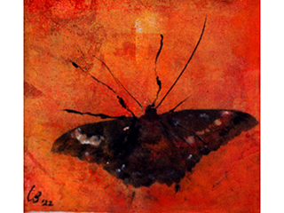 Looking for Light II by Liedeke Bulder