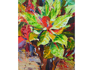 Rainbow Croton II by Mikyung L Yee